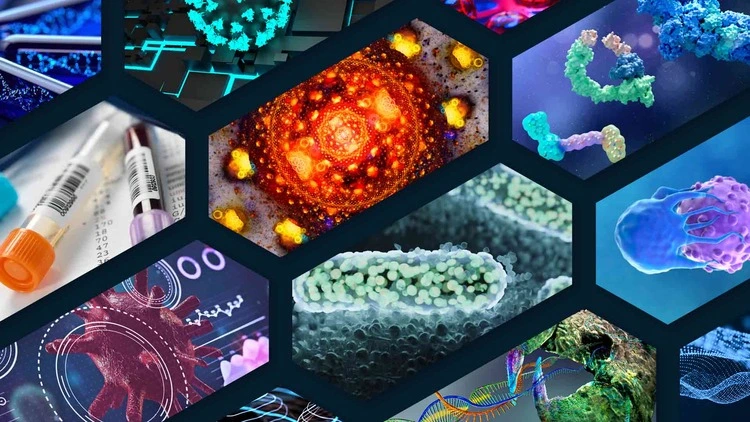 working with health care professionals